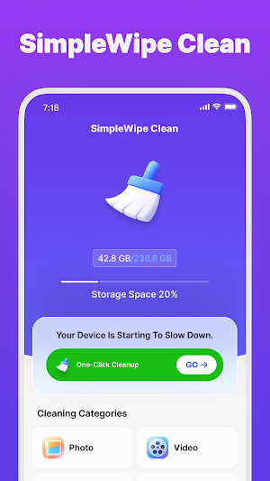 SimpleWipe Clean Screenshot 0