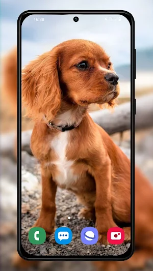 Puppy wallpaper background Screenshot 3