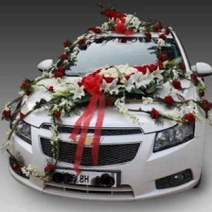 Wedding Cars Screenshot 2