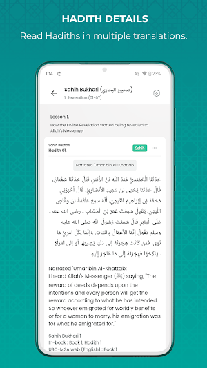 Daily Hadith Explorer Screenshot 3