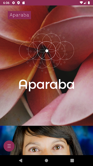 aparaba Screenshot 1