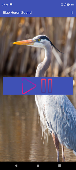 Blue Heron Sound Screenshot 0