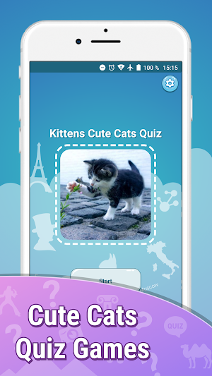 Cats quiz guess kittens cute games Screenshot 1