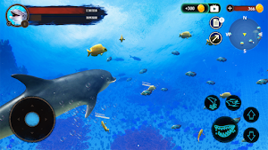 The Dolphin Screenshot 3