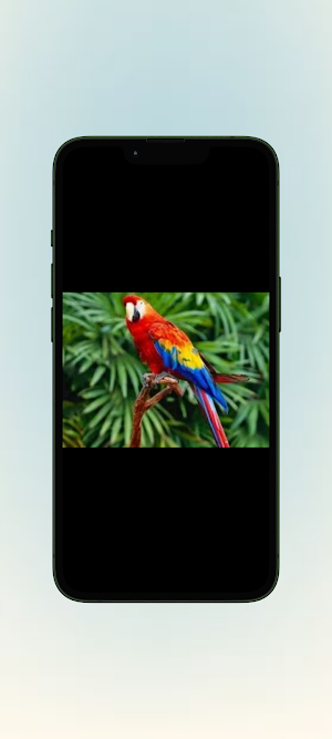 Nuri WalL Screenshot 2