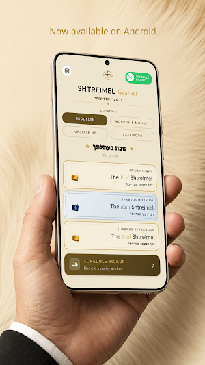 Shtreimel Weather Screenshot 1