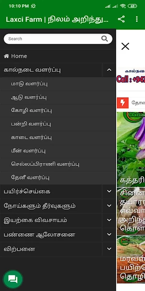 Laxci Farm Screenshot 2