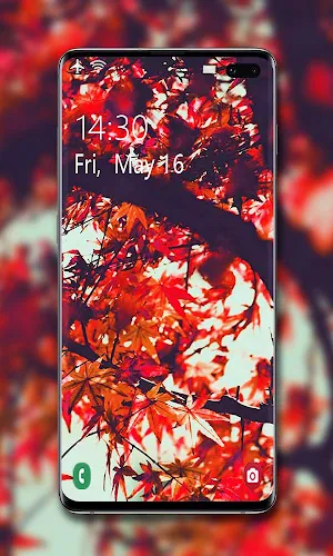 🍁 Autumn Wallpaper 🍂 Screenshot 3