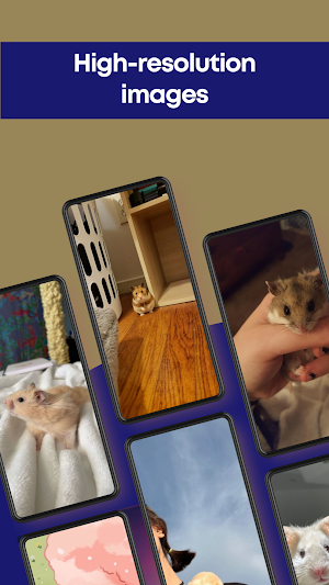Cute Hamster Wallpaper 4K Screenshot 1
