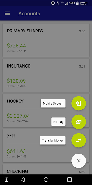 South Central Credit Union Mob Screenshot 2