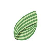 Cereagro