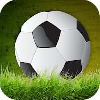 Soccer Championship 3D