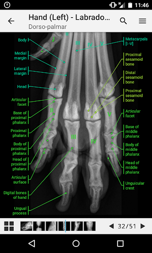 vet-Anatomy Screenshot 3
