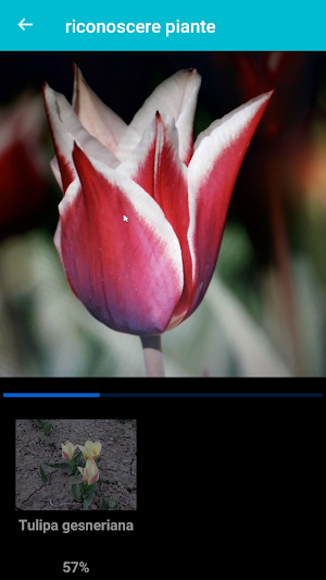 Plants and Flowers Identification Screenshot 0