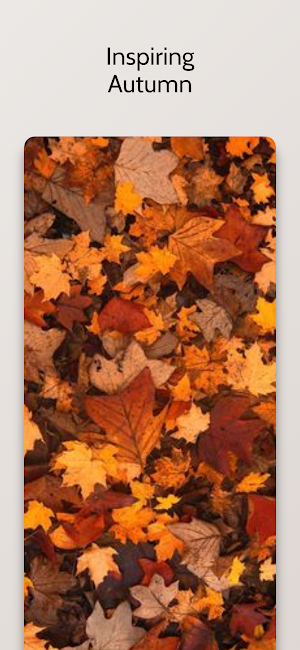 Beautiful  Autumn Wallpaper HD Screenshot 0