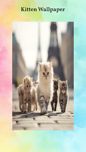Cute Kitten Wallpapers Screenshot 0