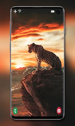 Cool Wallpapers - HD Backgrounds; Offline Screenshot 3
