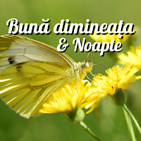 Romanian Morning & Night Greet