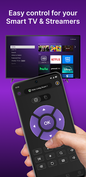 TV Remote For Roku&Smart TV Screenshot 0