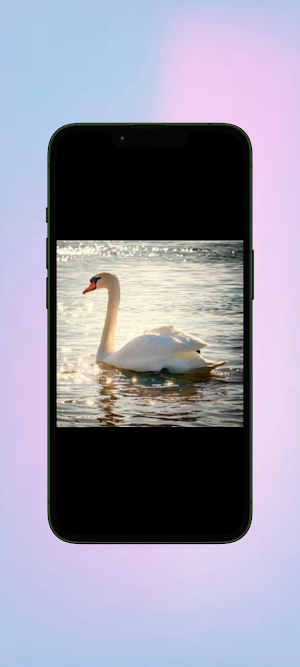 Angsa WalL Screenshot 0