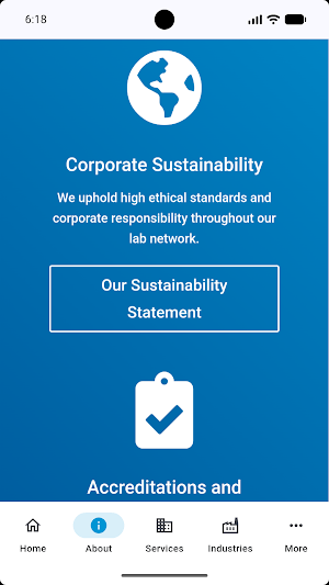 GovConsult LLC Screenshot 3