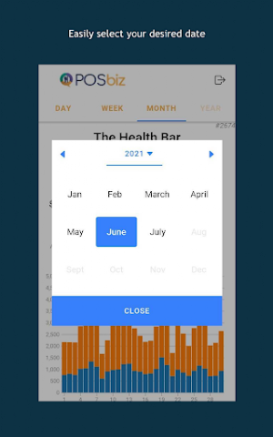POSbiz Insights Screenshot 3