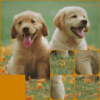 Picture Puzzle