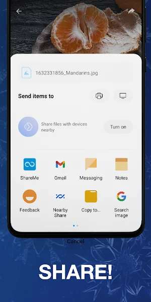 Christmas Live Wallpaper - New Year Wallpaper Screenshot 3
