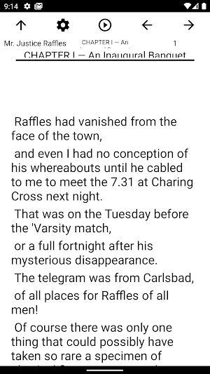 Book, Mr. Justice Raffles Screenshot 1
