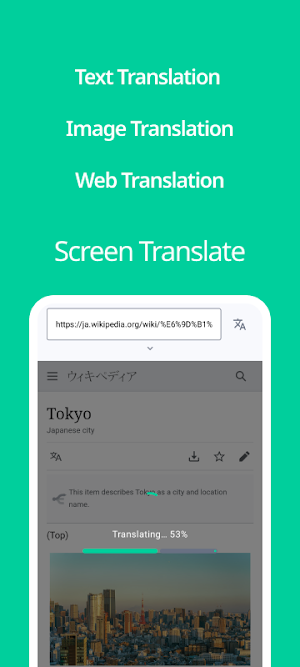 Screen Translate Agent Screenshot 1