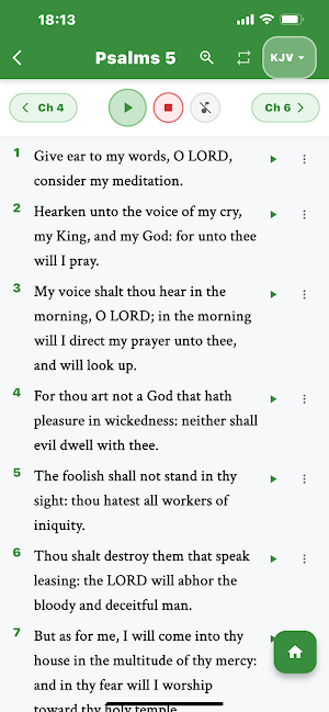 WordFirst Bible App Screenshot 2