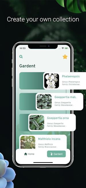 Plant ID - Plant Identification - PictureThis Screenshot 3