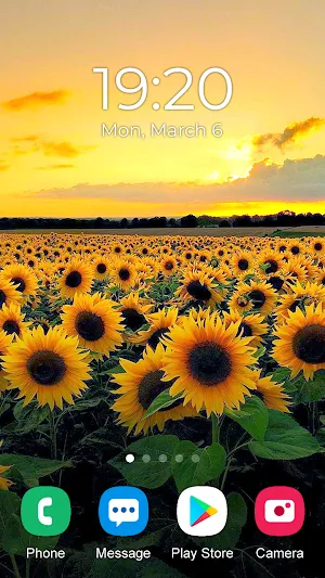 Sunflower Wallpaper 2023 Screenshot 1