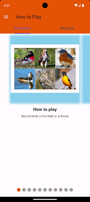 BirdBingo&BirdWatching Safaris Screenshot 0