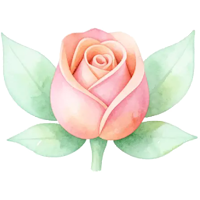 Rose: Period Tracker & Cycle