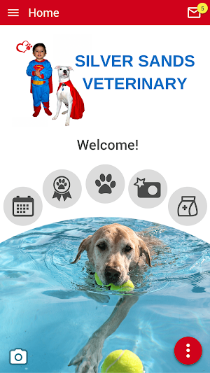 Silver Sands Veterinary Screenshot 0