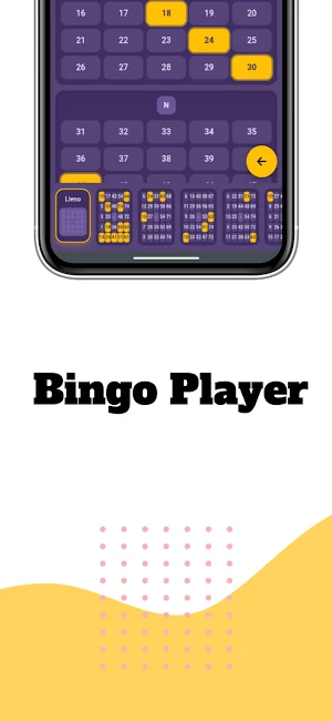 Bingo Player Screenshot 3