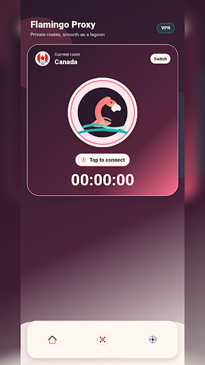 Flamingo Proxy Screenshot 3