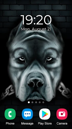 Pitbull Wallpaper 2023 Screenshot 2