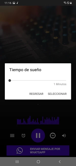 Top Radio Online Screenshot 3