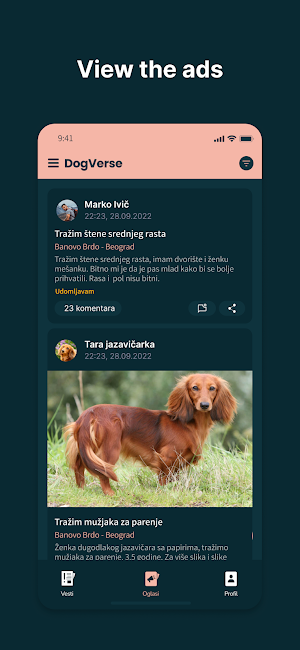 DogVerse Screenshot 3