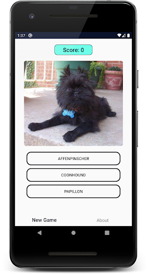 Dogs Quiz: Guess and Learn the Dogs Breeds Screenshot 1