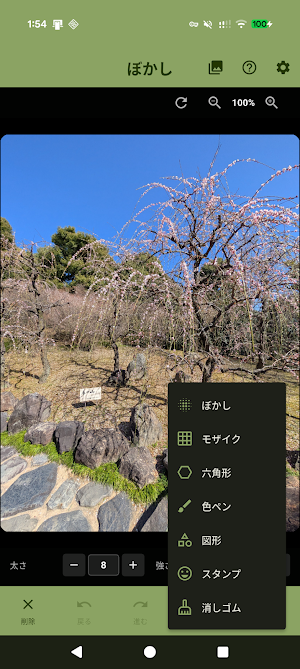 写真モザイク＆ぼかしPLUS  ～指でなぞってかんたん加工～ Screenshot 3