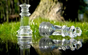 Chess Wallpapers Screenshot 3