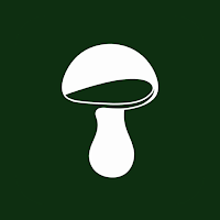 MyBoletus