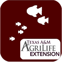 Endangered Fish of TX
