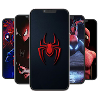 Spider Wallpaper Man HD 4K