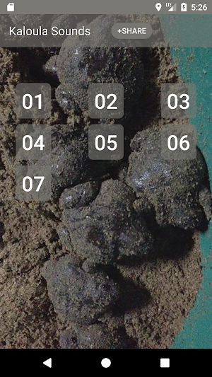 Kaloula Call Sounds Screenshot 0