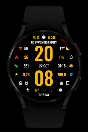 WR 017 Digital Watch Face Screenshot 2