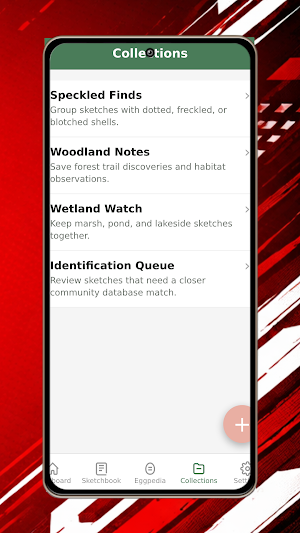 WinBet Screenshot 3